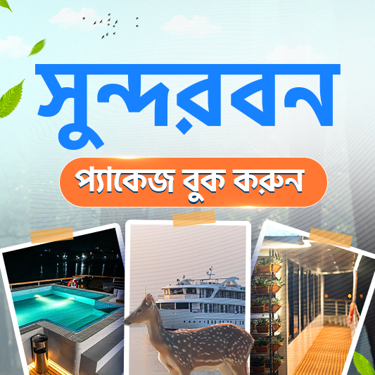 ঘুরে আসুন বাঘের রাজ্য সুন্দরবনে