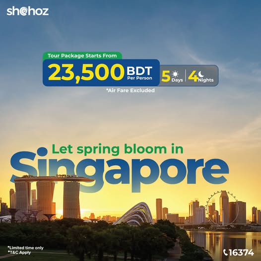 Let the city glow, gardens bloom, and vibes hit different in Singapore.