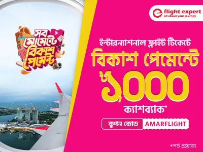 ছুটিতে প্লেন জার্নি সাশ্রয়েই